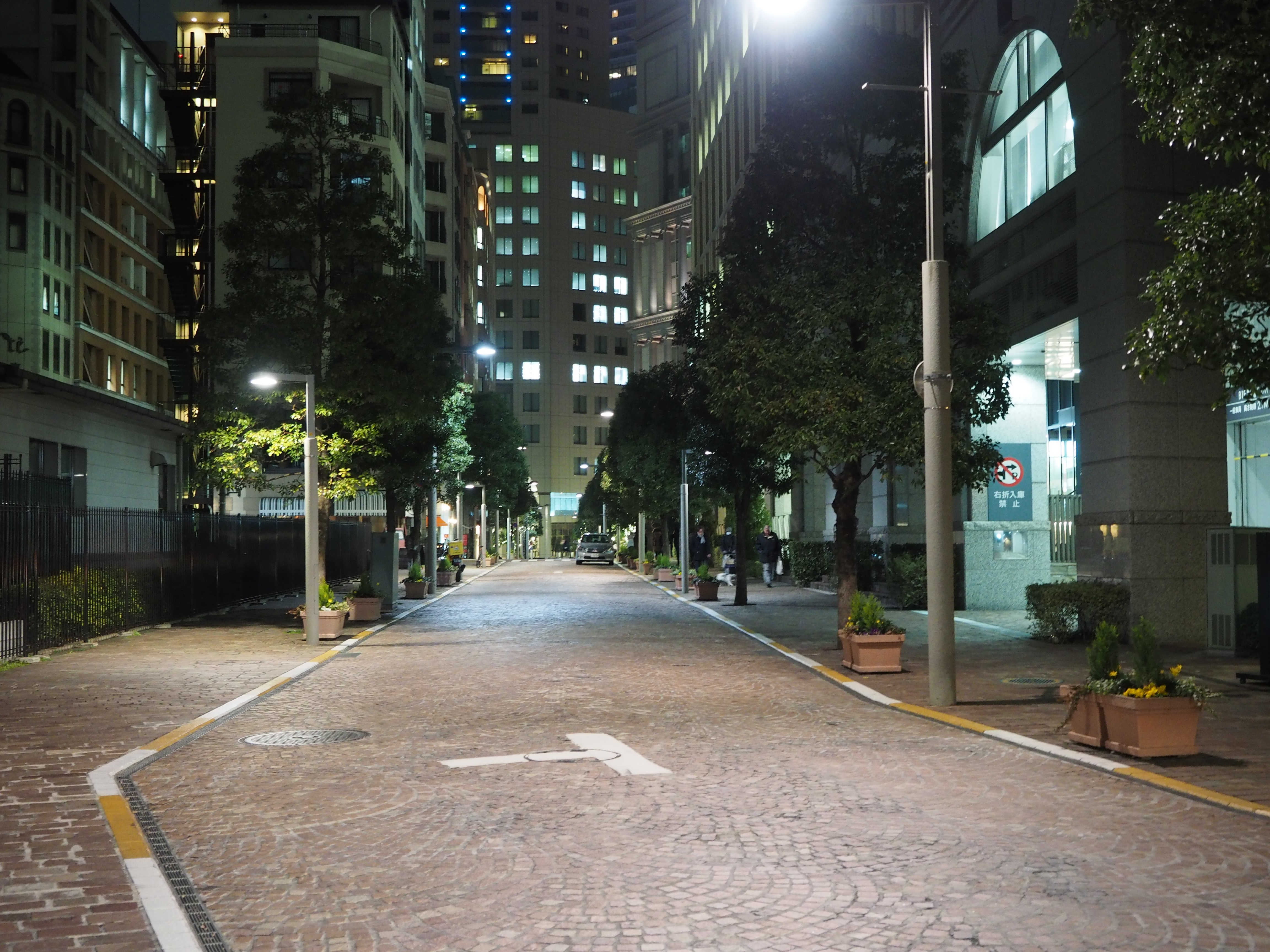 P2060131.JPG