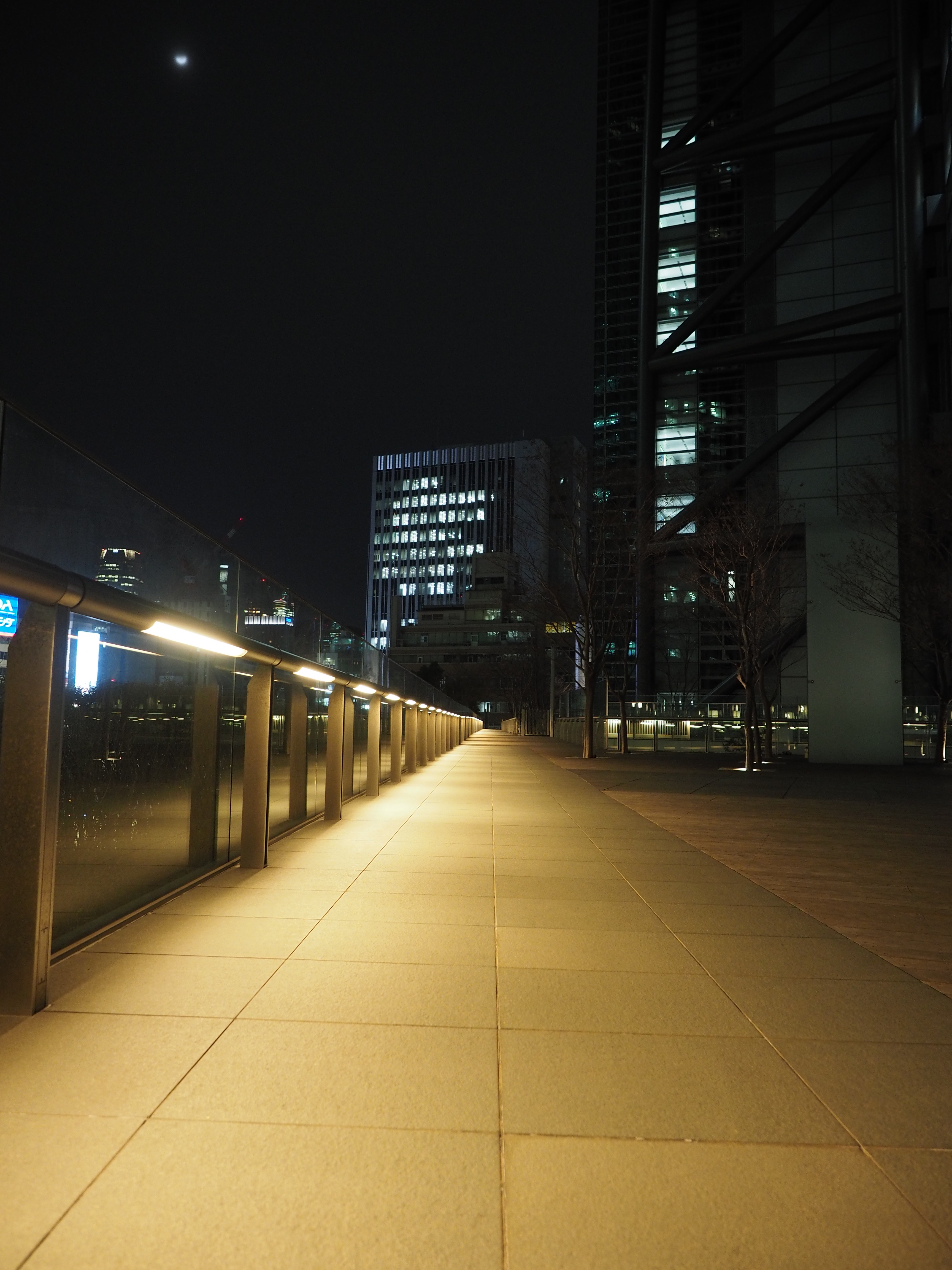 P2060252.JPG