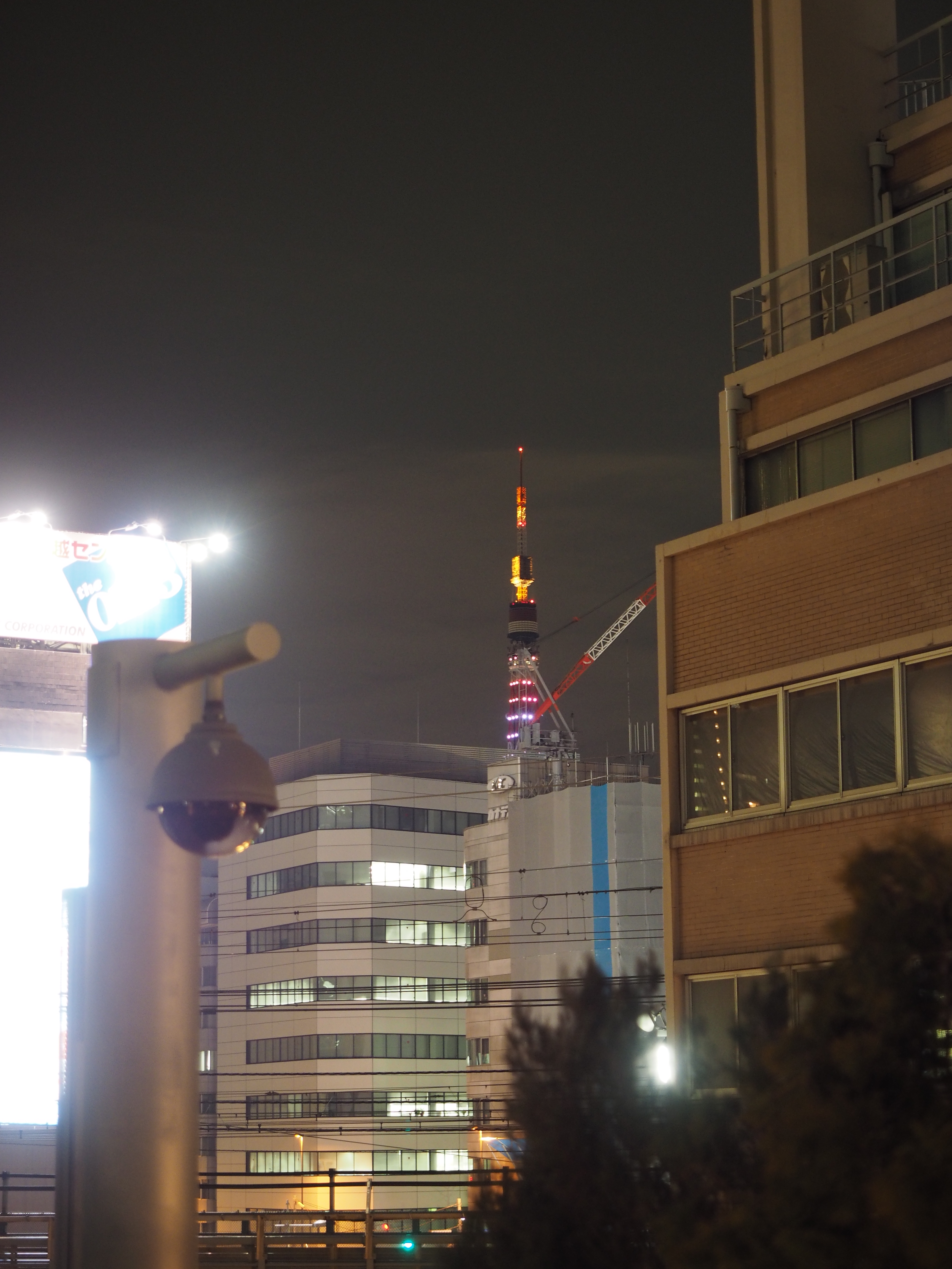 P2060296.JPG