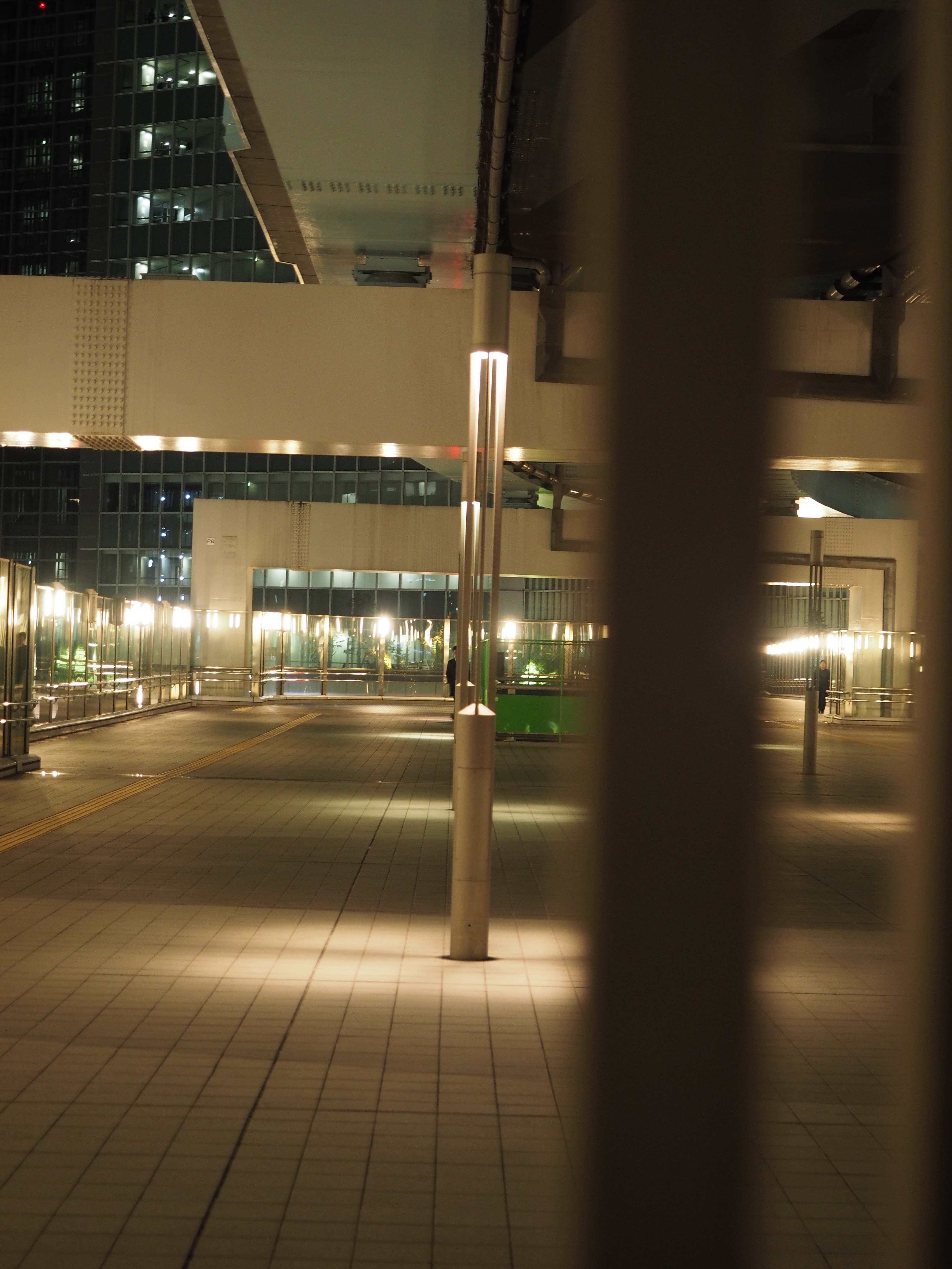 P2060324.JPG
