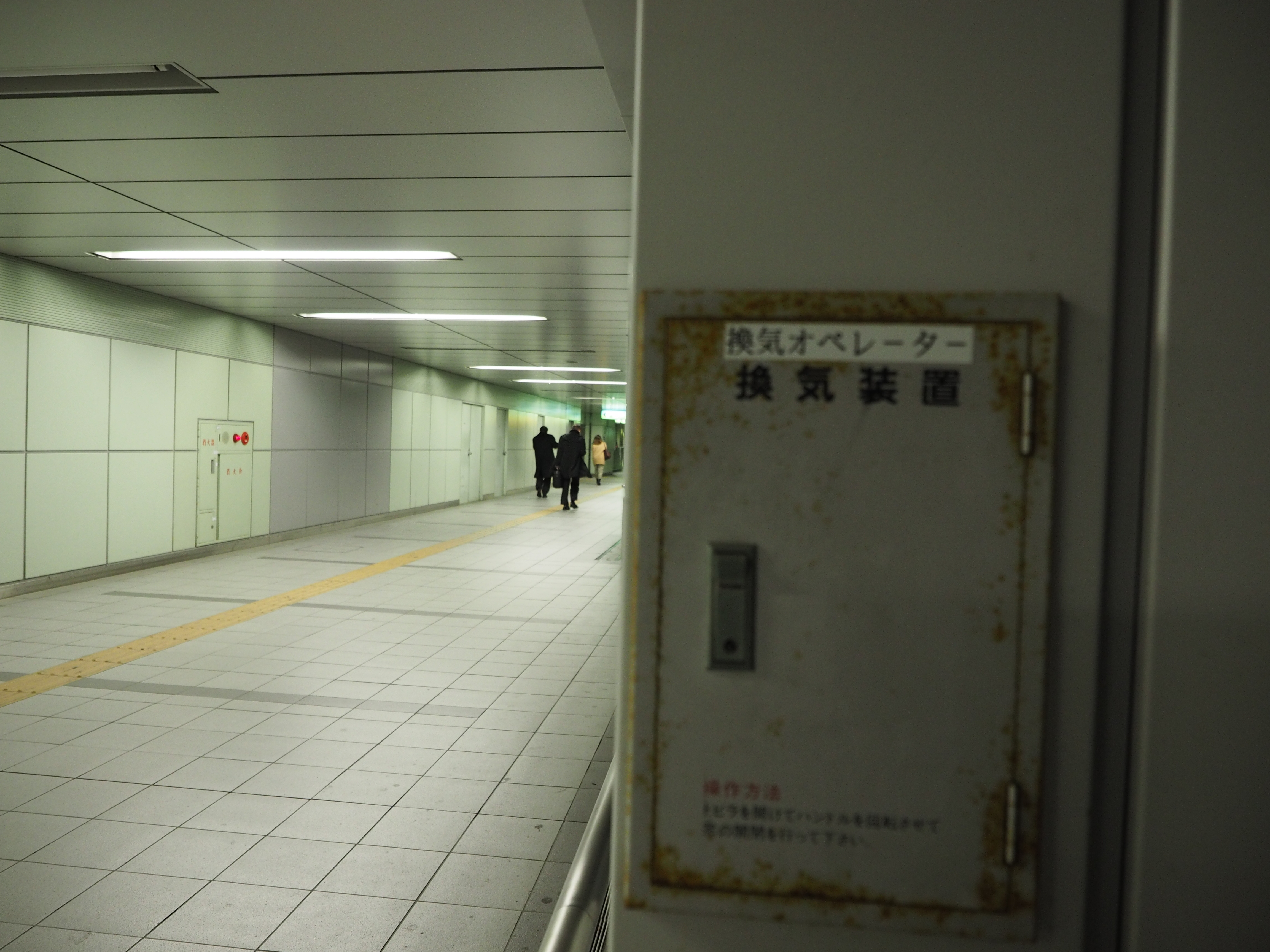 P2060331.JPG