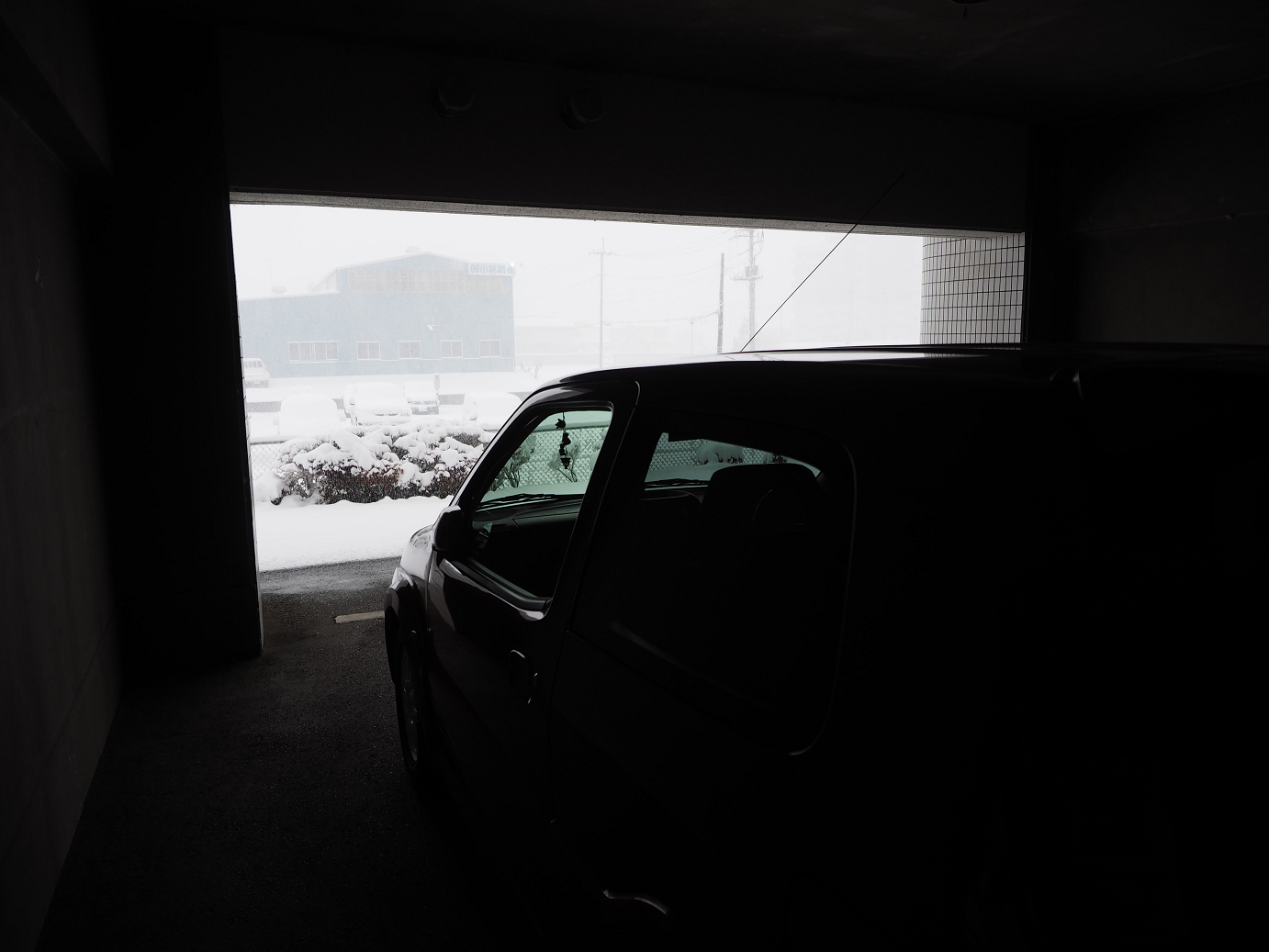 P1402080153.jpg