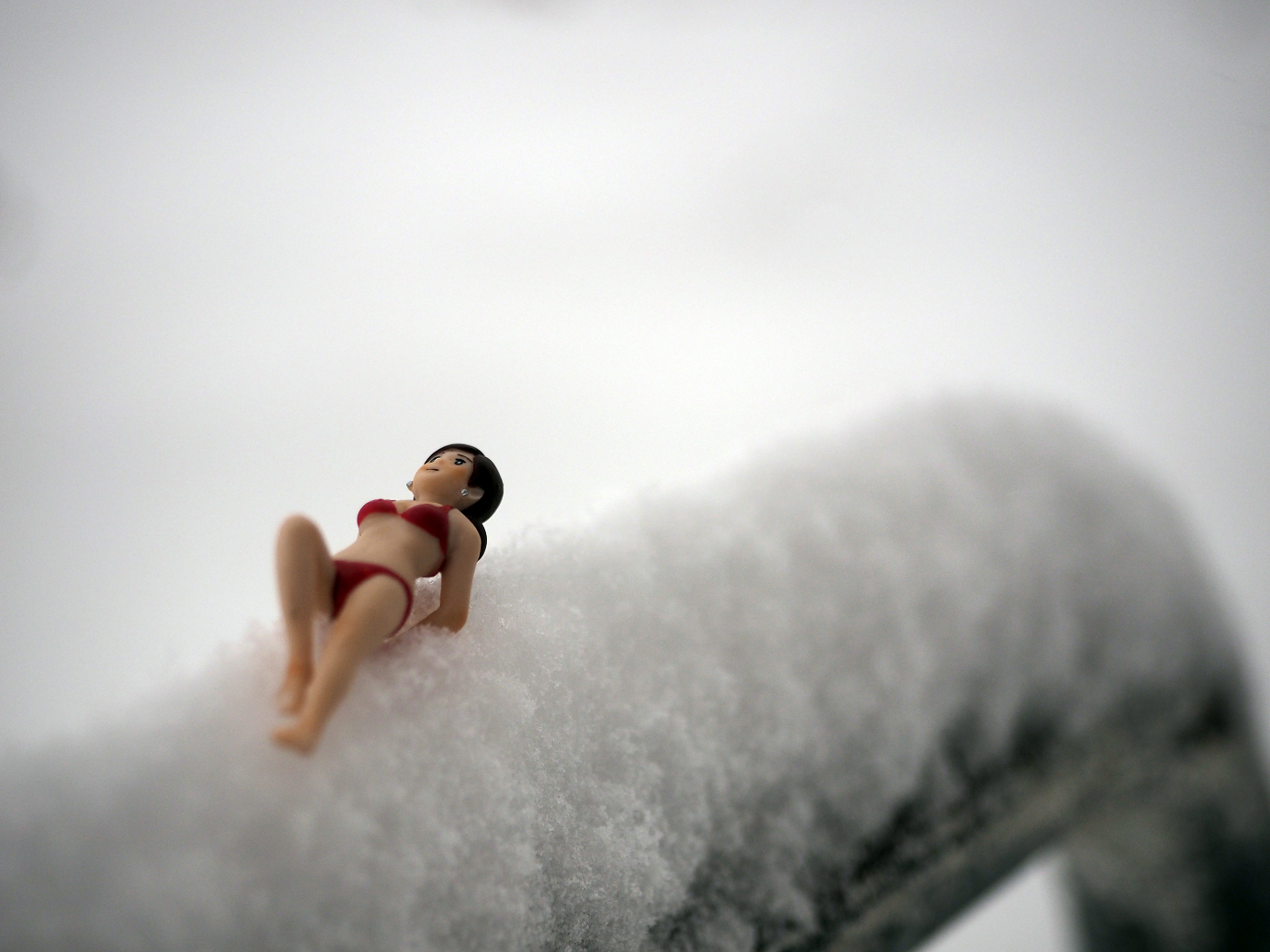 P1402080173.jpg