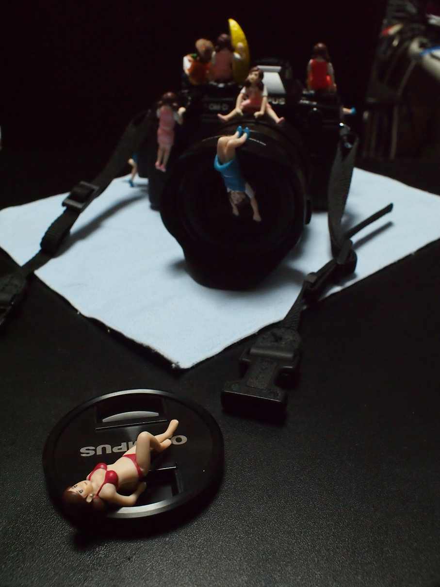 P1402080201.jpg