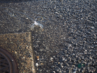 P1402090095_thumb.png