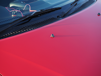 P2110376_thumb.png