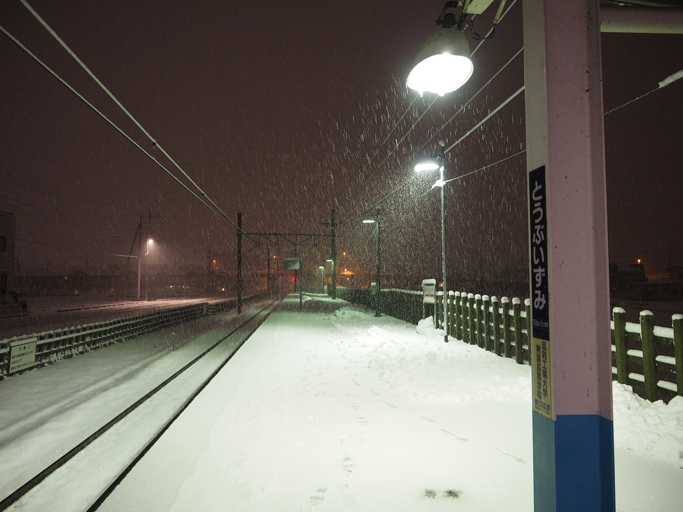 P2140038.jpg