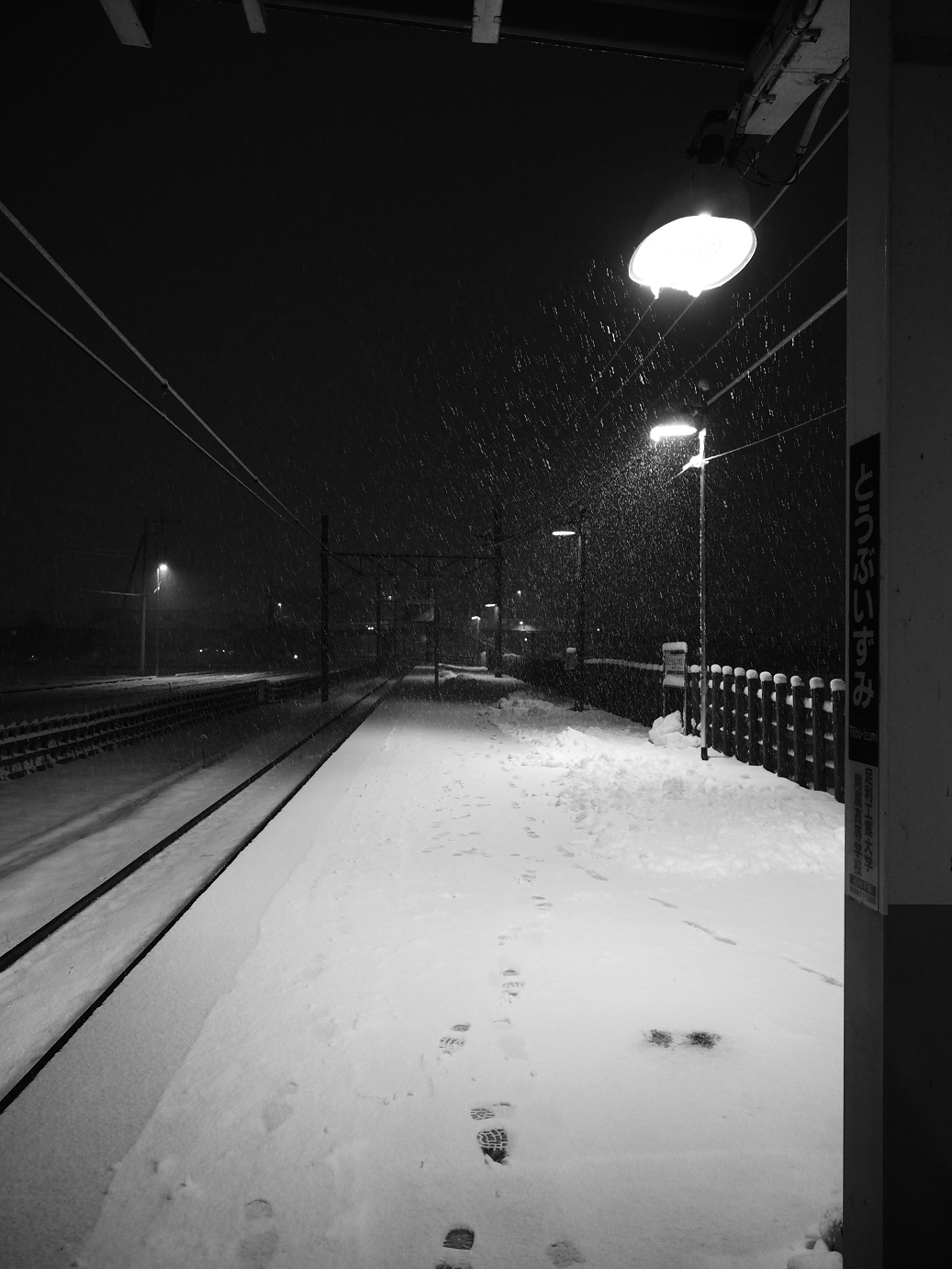 P2140039.jpg