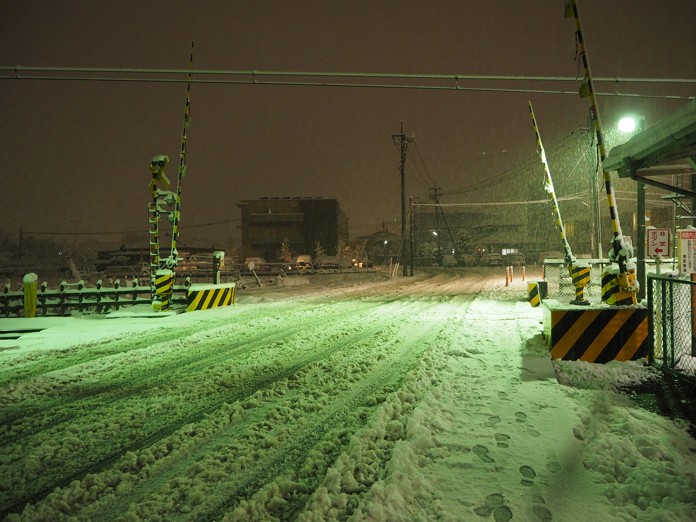 P2140049.jpg