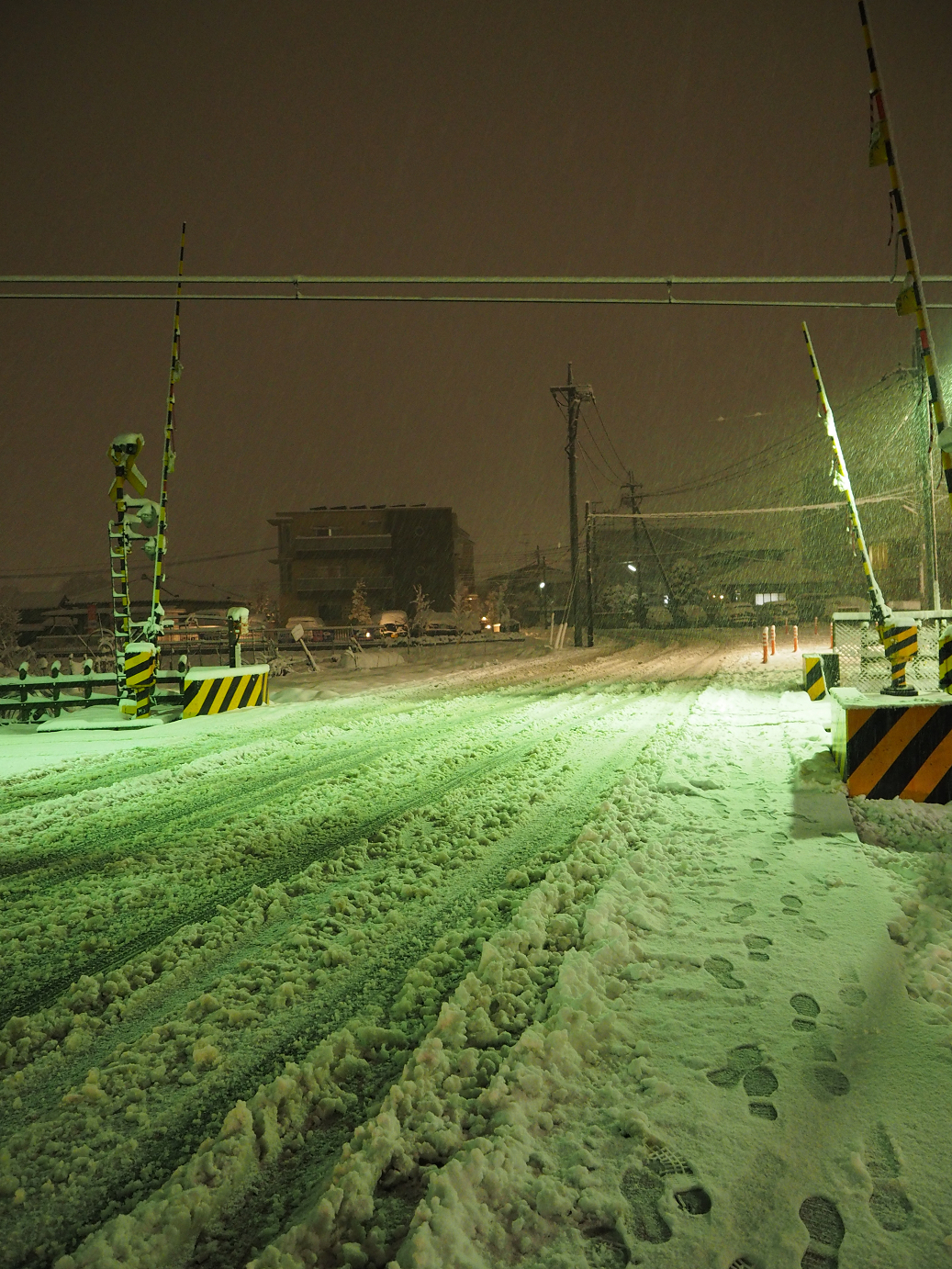P2140050.jpg