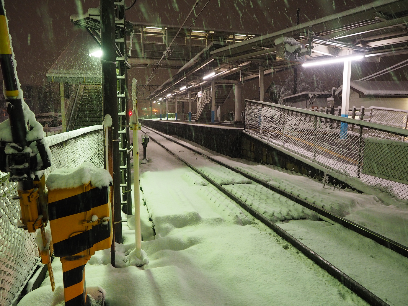P2140054.jpg
