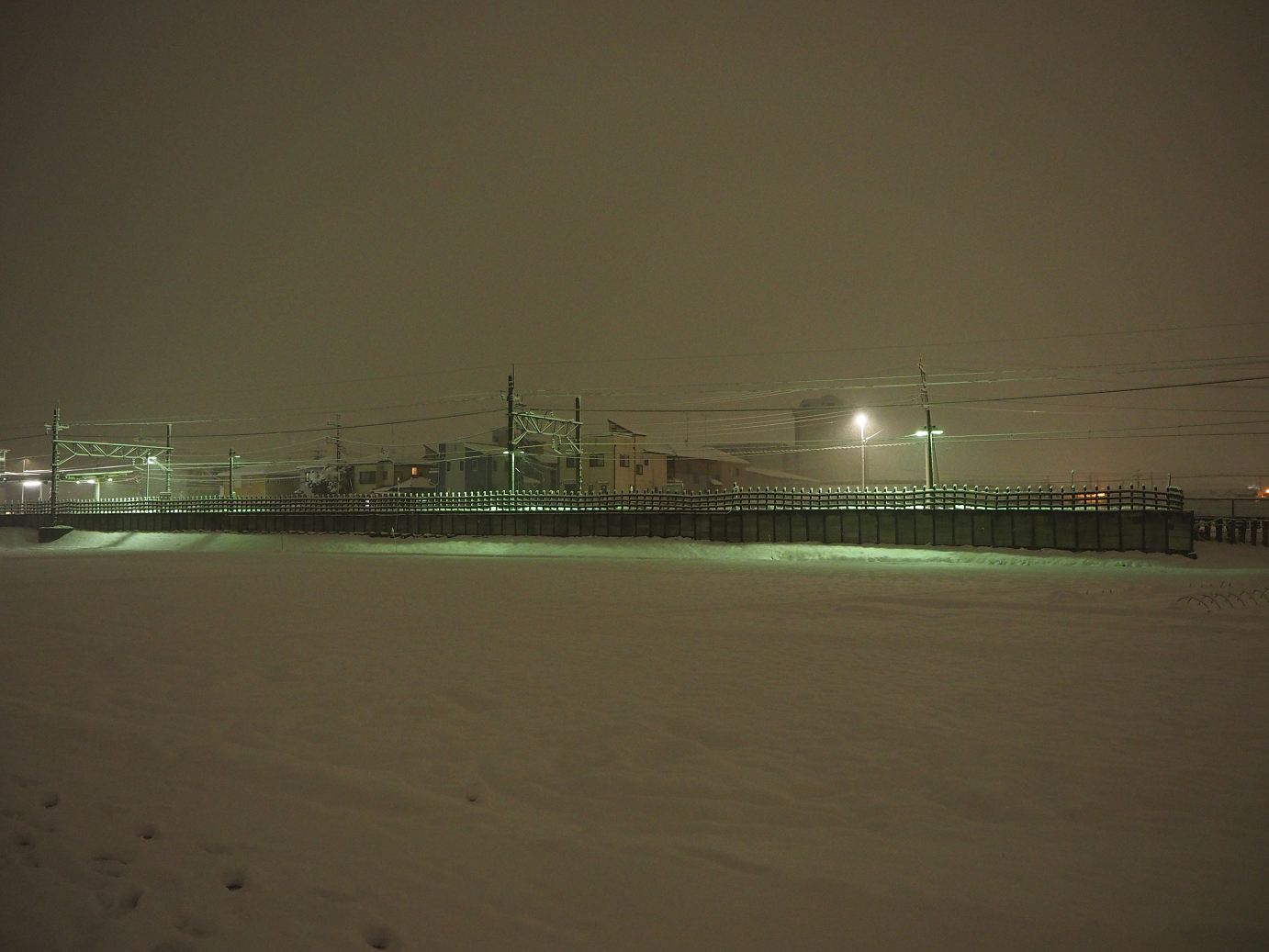 P2140073.jpg