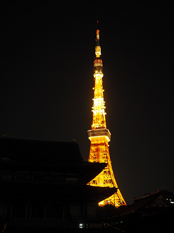 P2190027_thumb.png