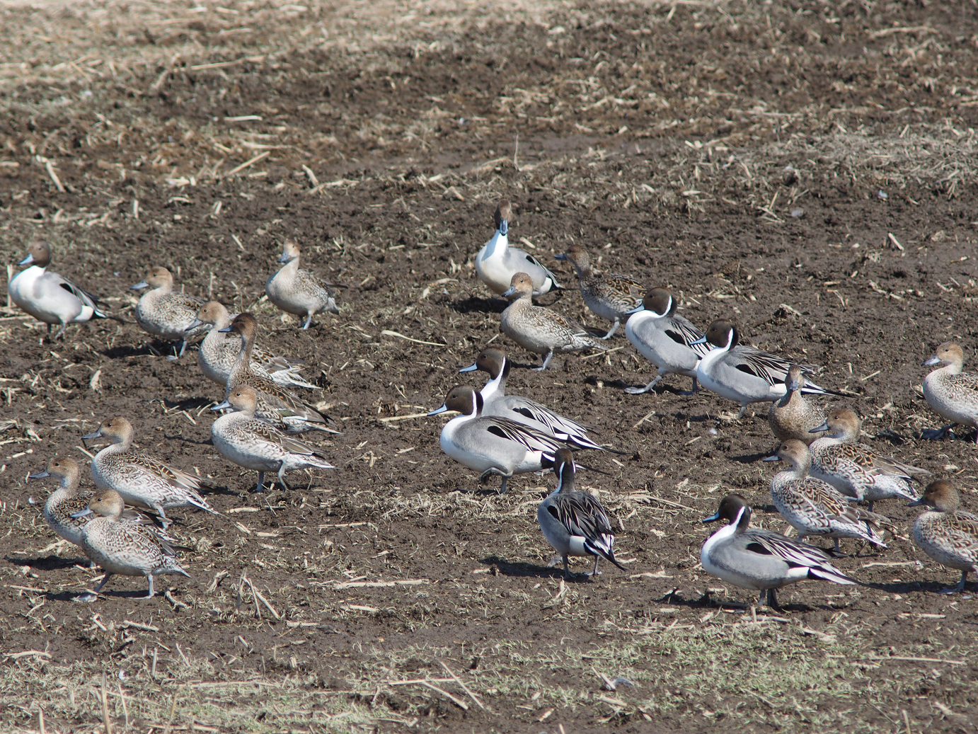 P2230143.jpg