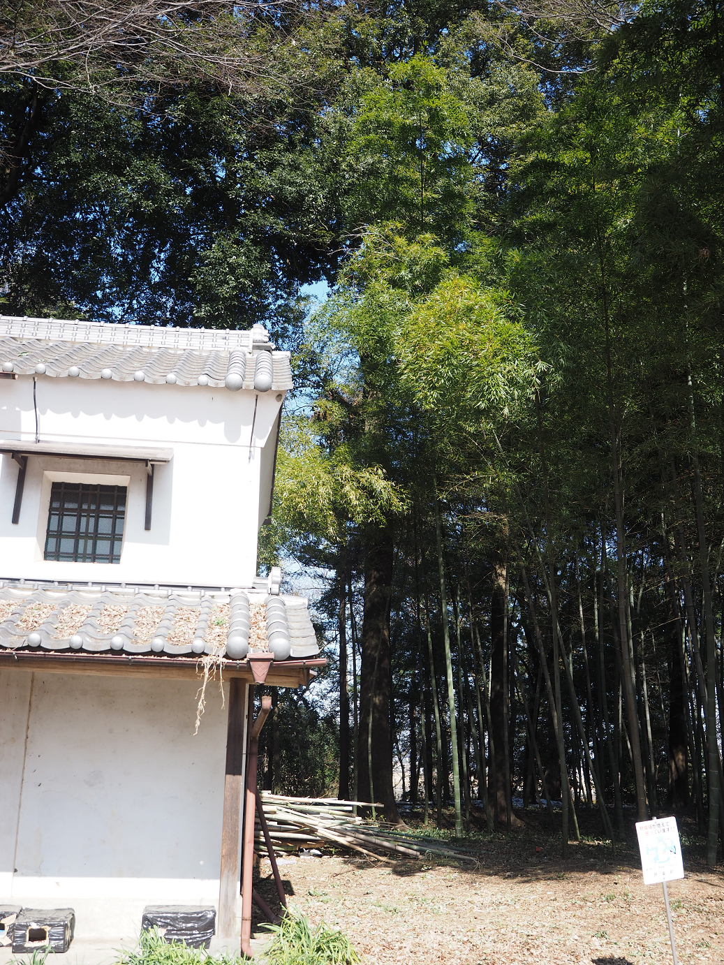 P2230414.jpg