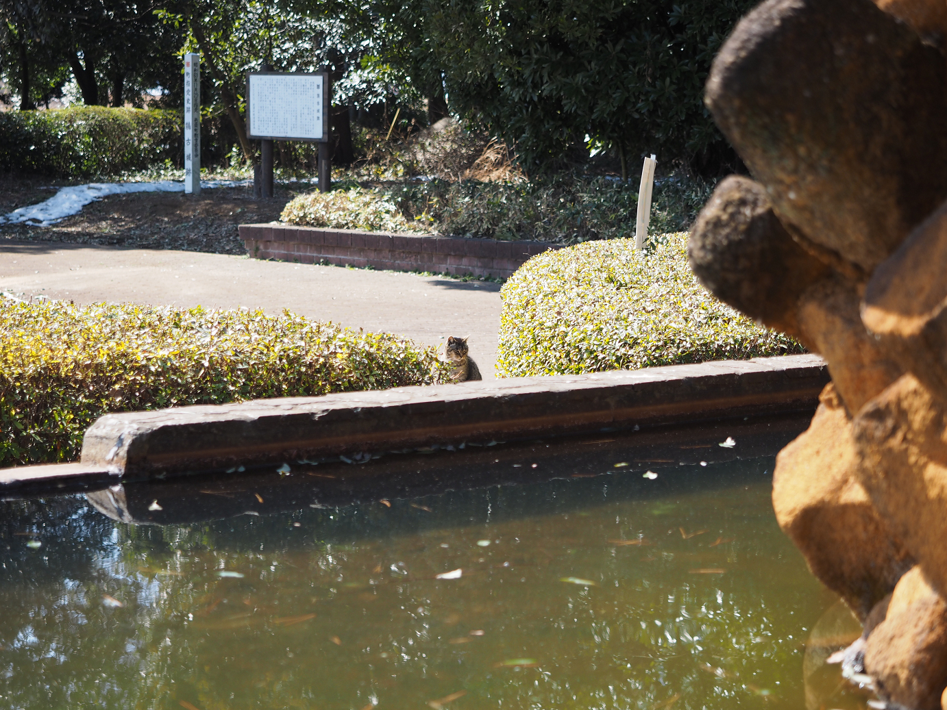 P2230420.jpg