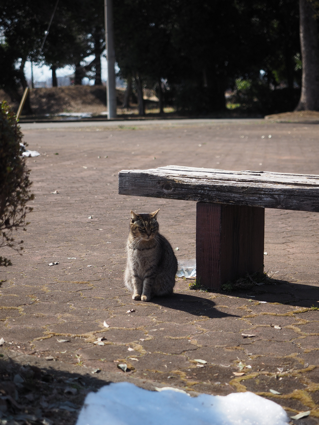 P2230447.jpg
