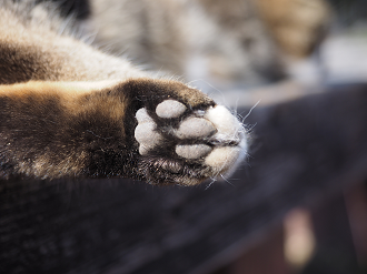 P2230556_thumb.png