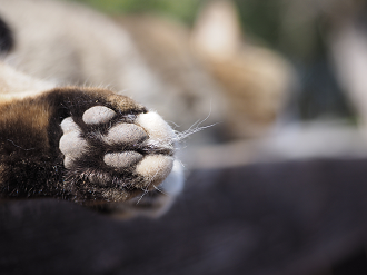 P2230561_thumb.png