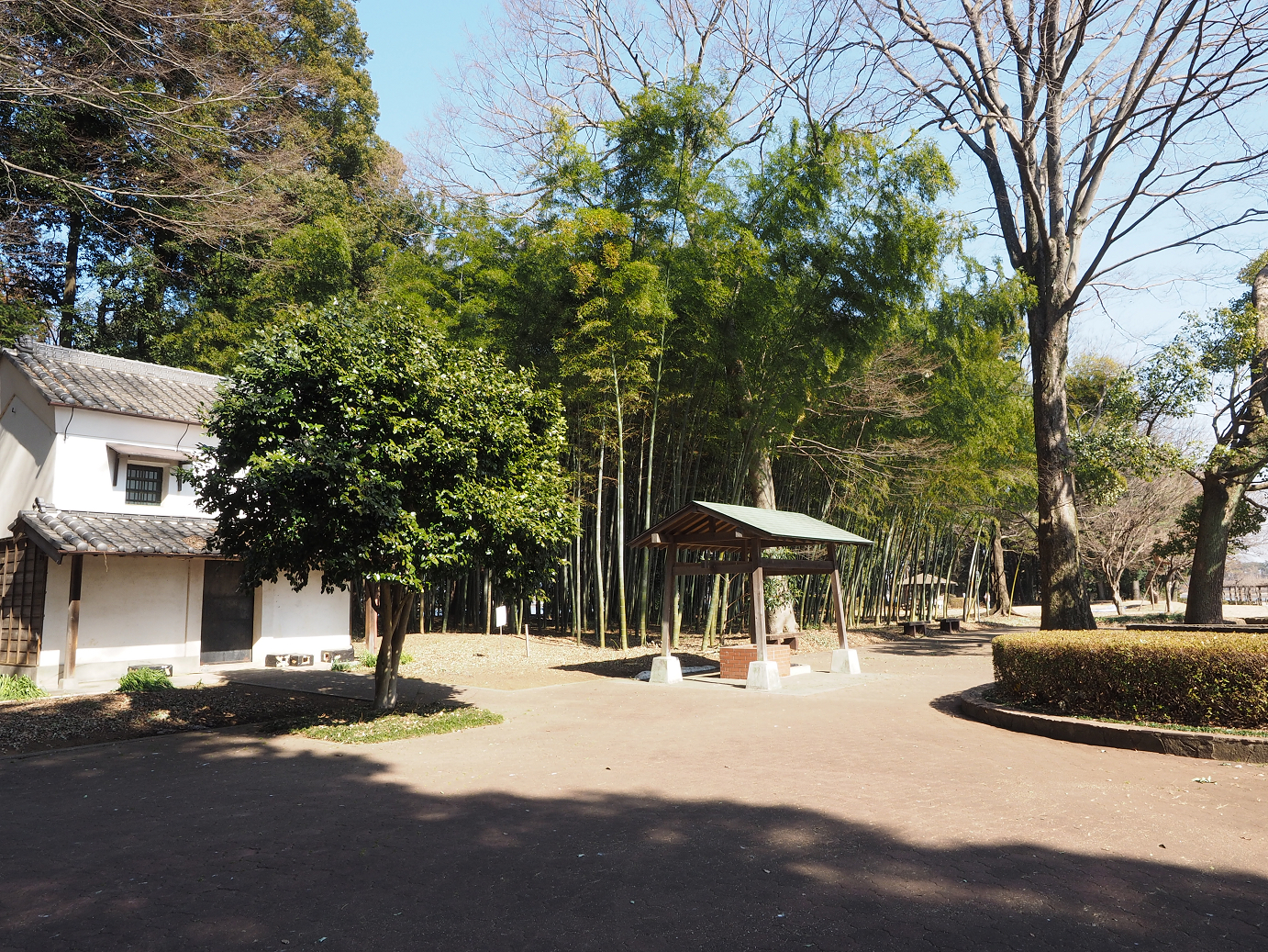P2230572.jpg