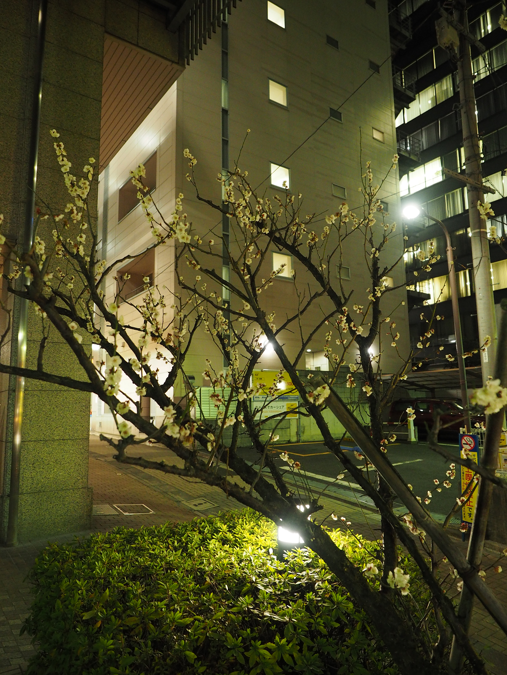 P2280767.jpg