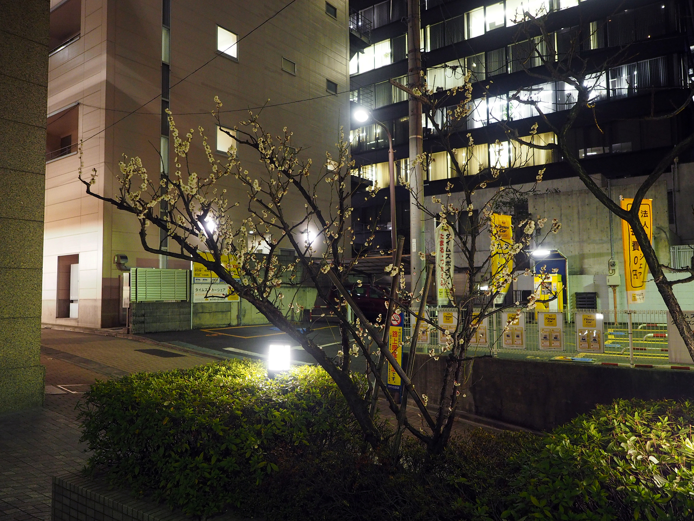P2280785.jpg