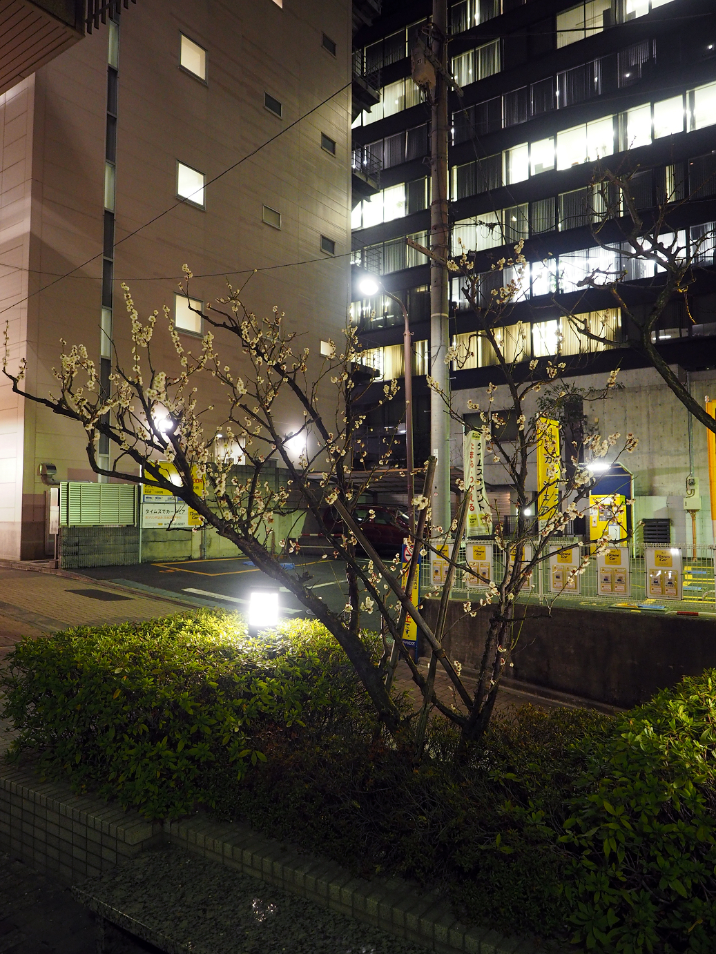 P2280787.jpg