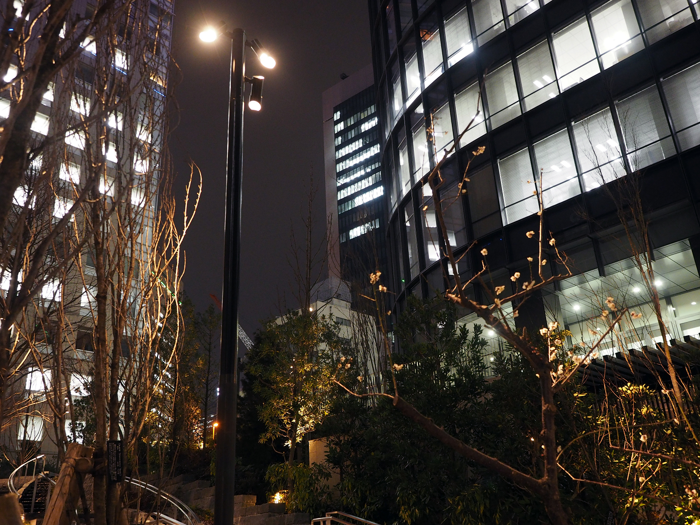 P2280797.jpg