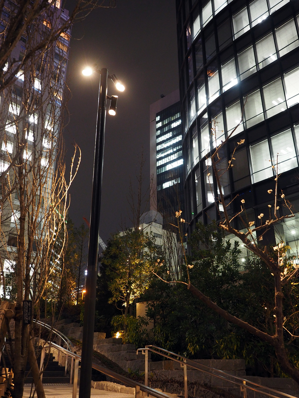 P2280798.jpg