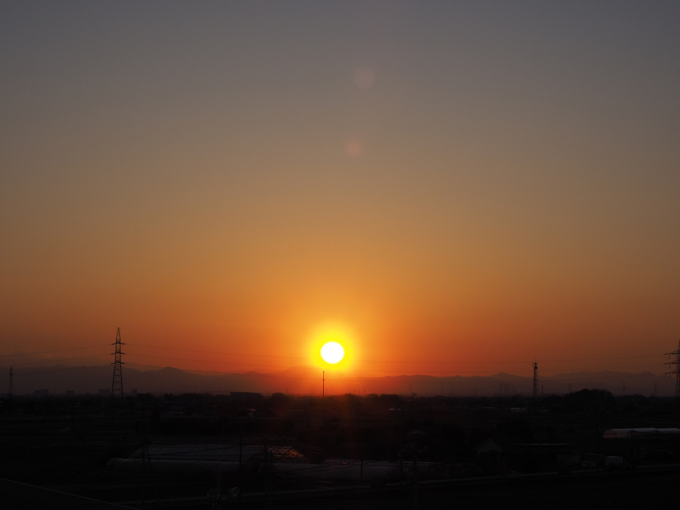 P3150151.jpg