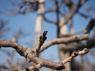 P3160304_thumb.png