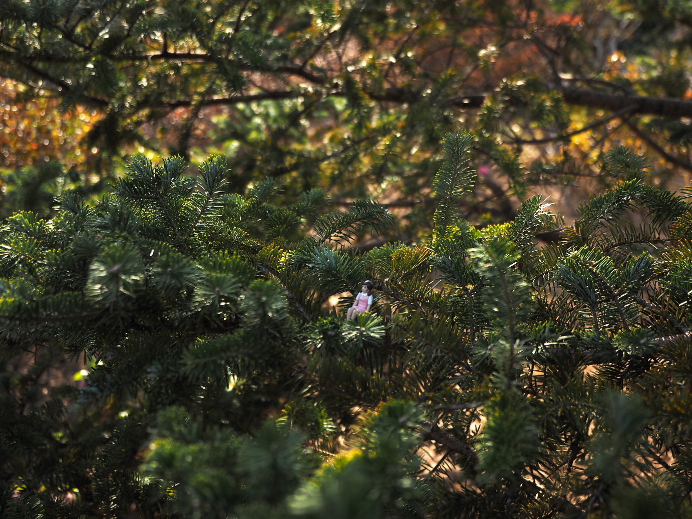 P3160343.jpg