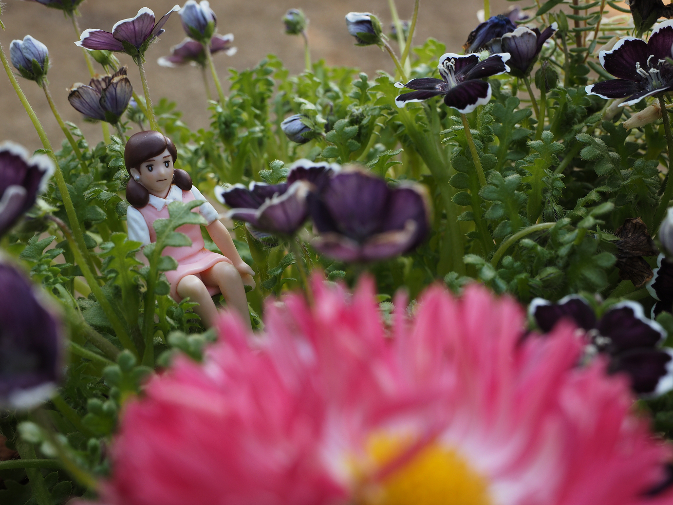 P3160441.jpg