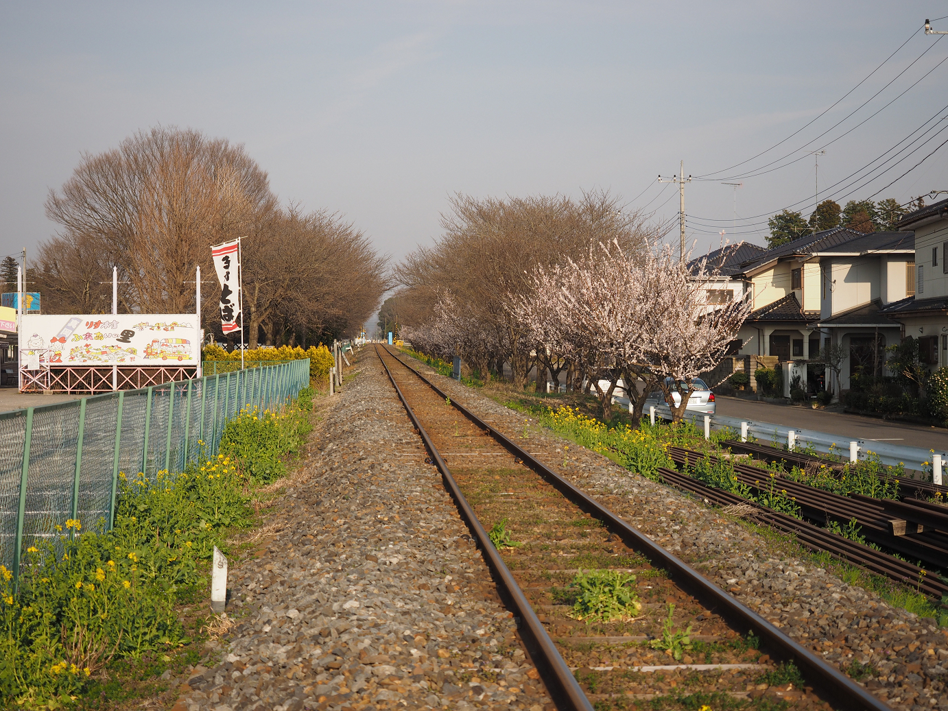 P32910075.jpg