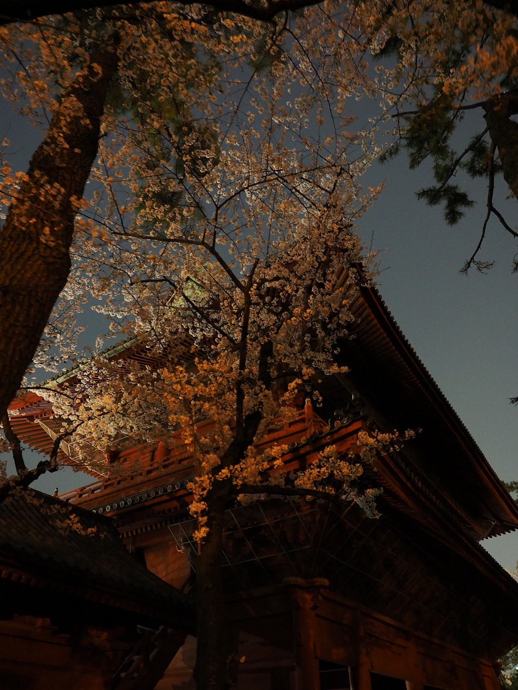 P4010067.jpg