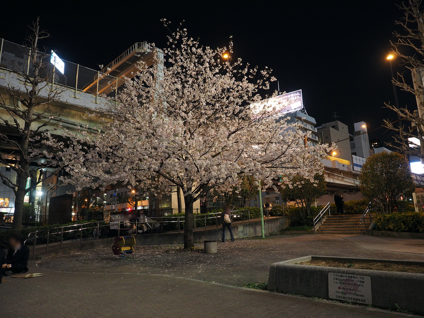 P4010110.jpg