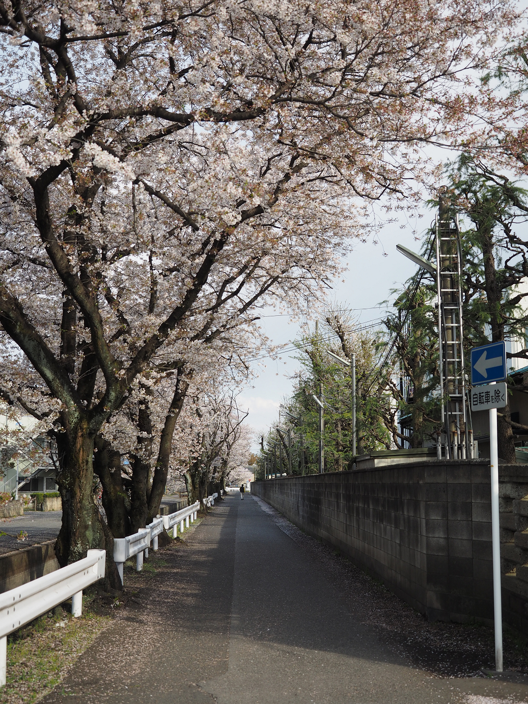 P4050105.jpg