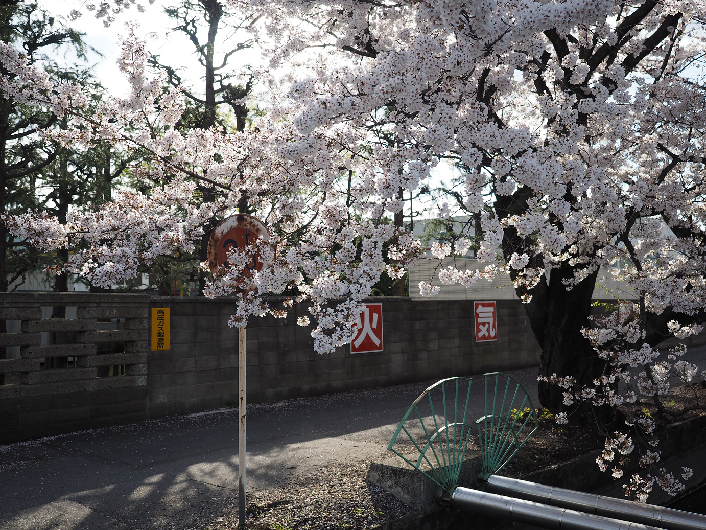 P4050108.jpg