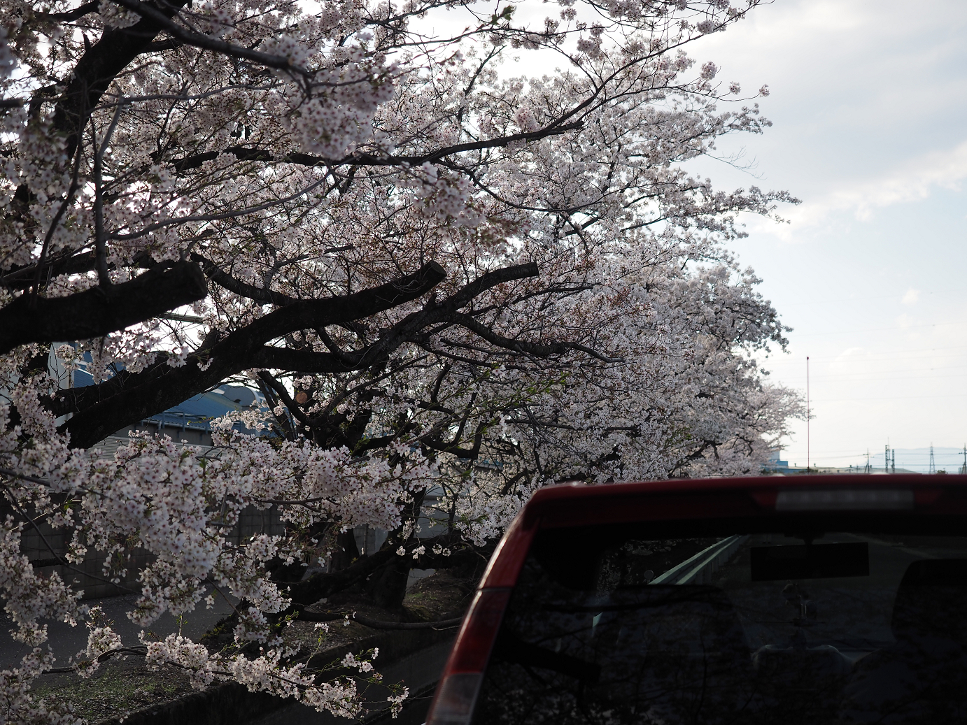 P4050161.jpg