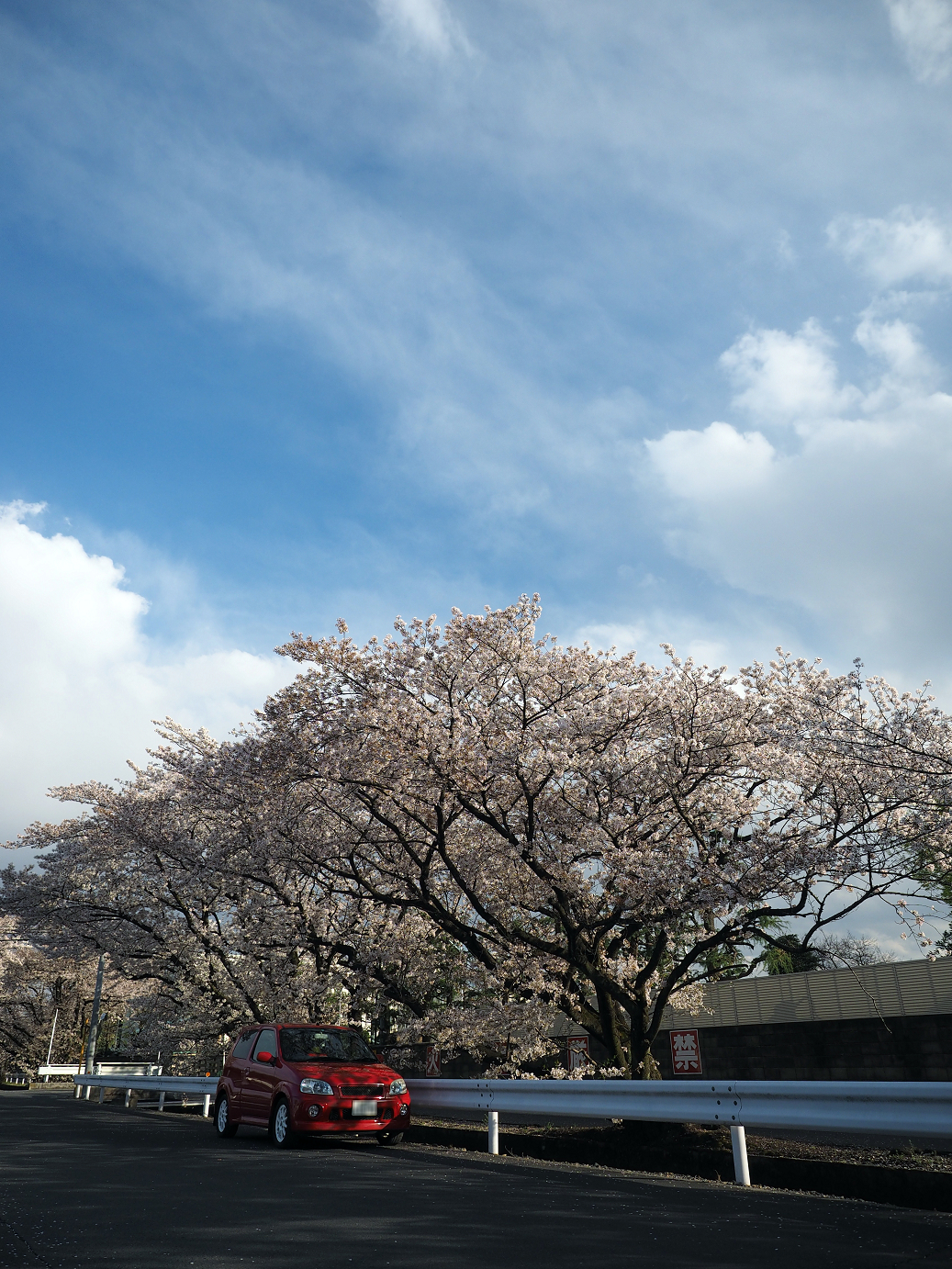 P4050205.jpg