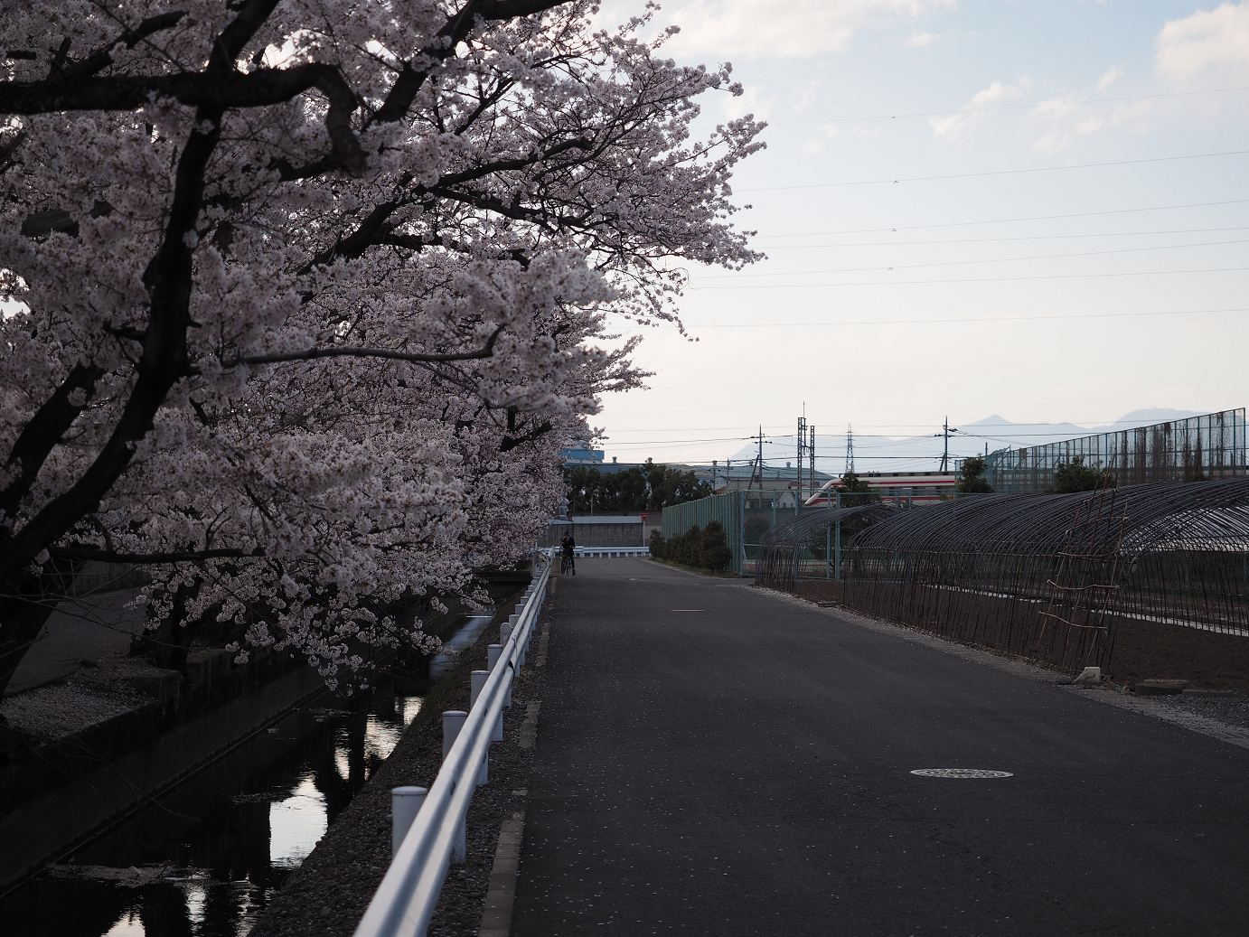 P4050257.jpg