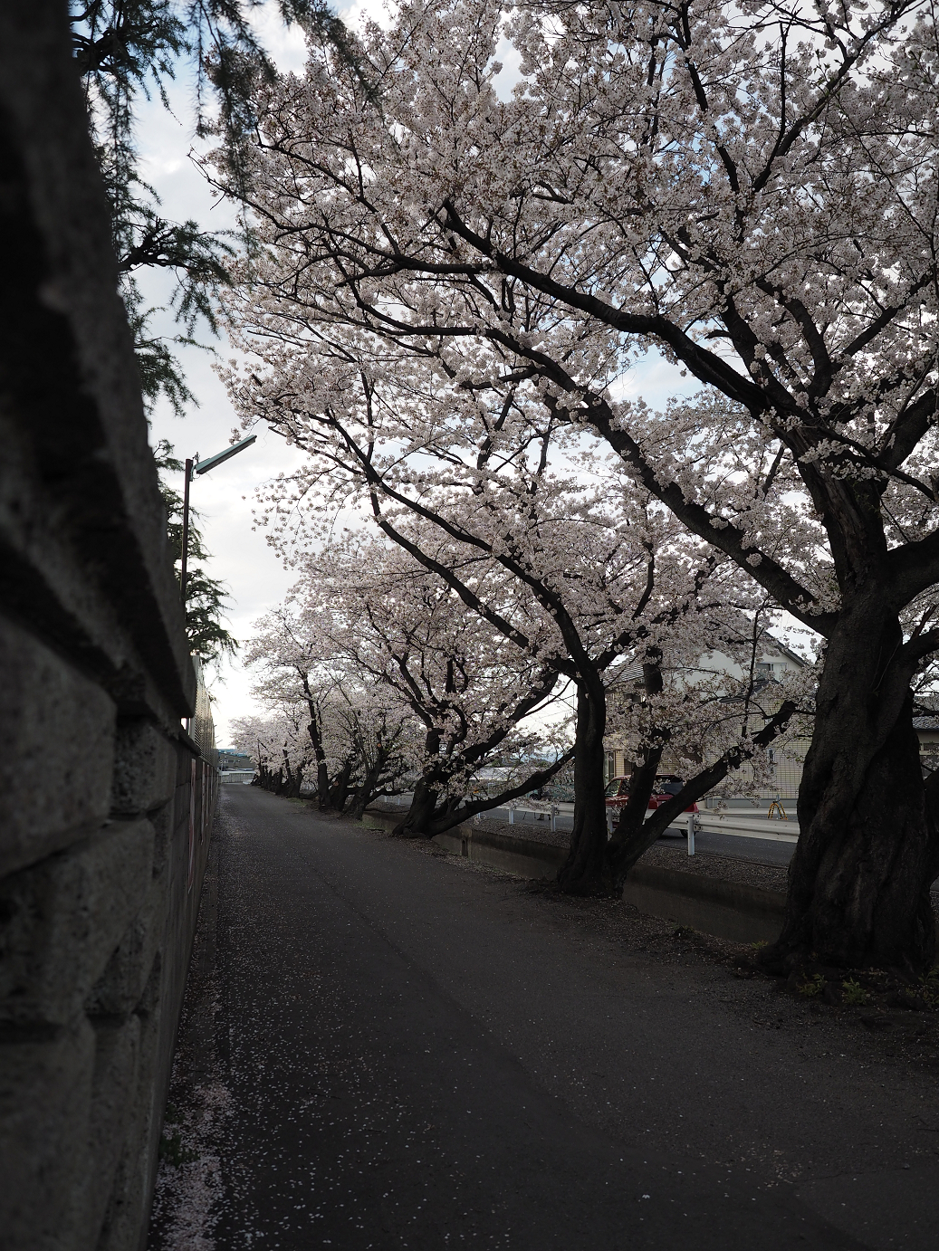 P4050266.jpg