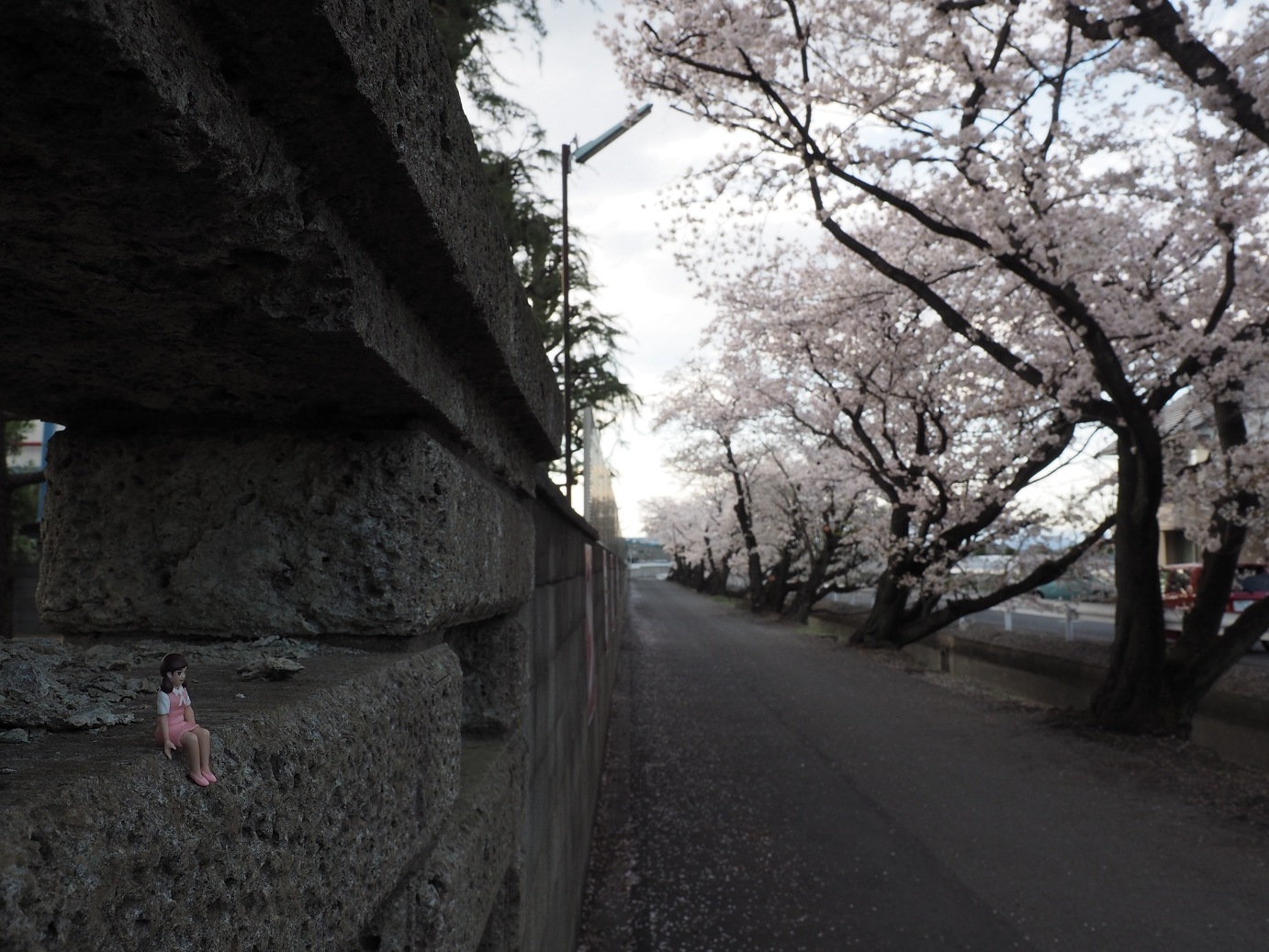 P4050270.jpg