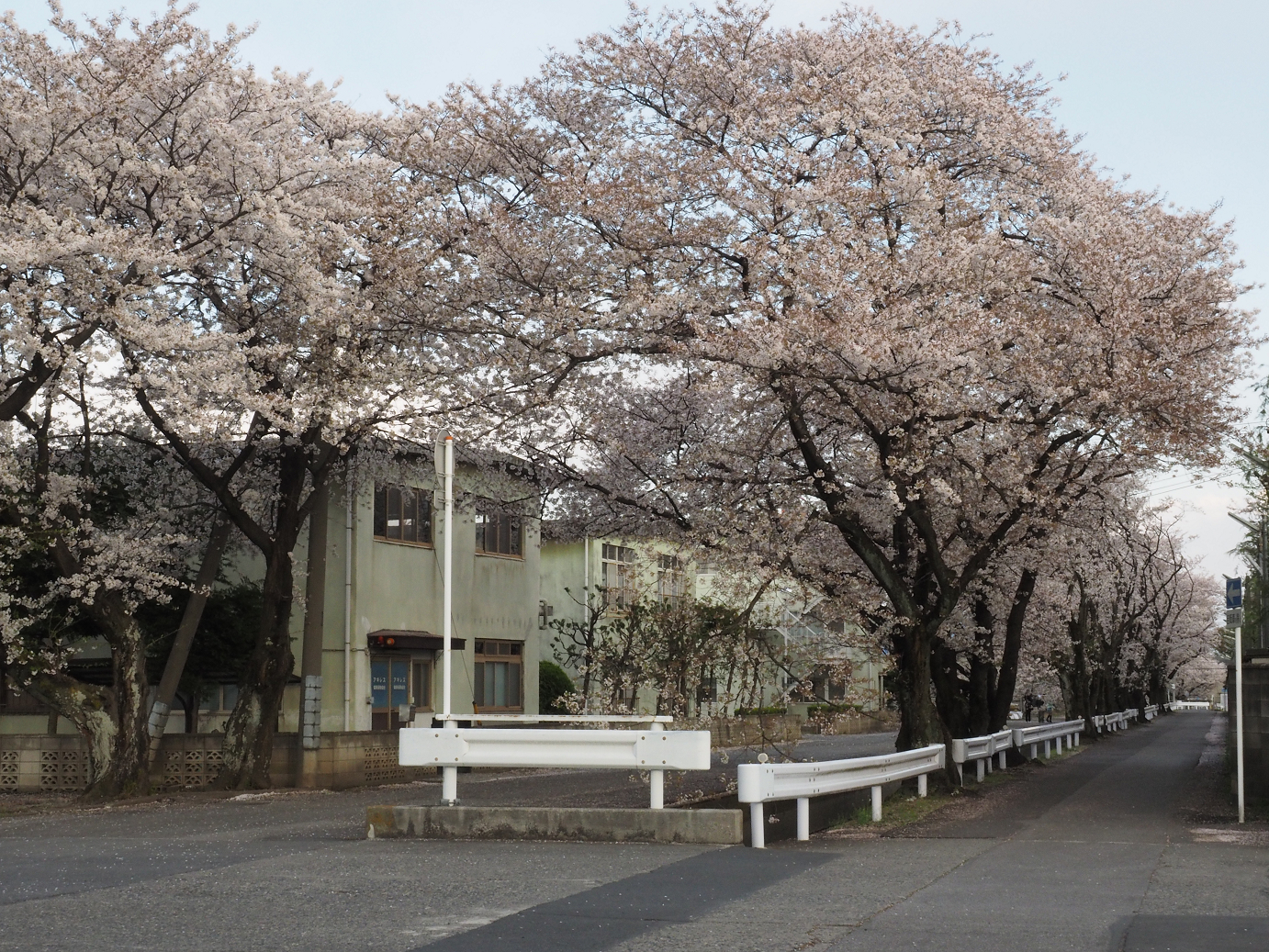 P4050273.jpg