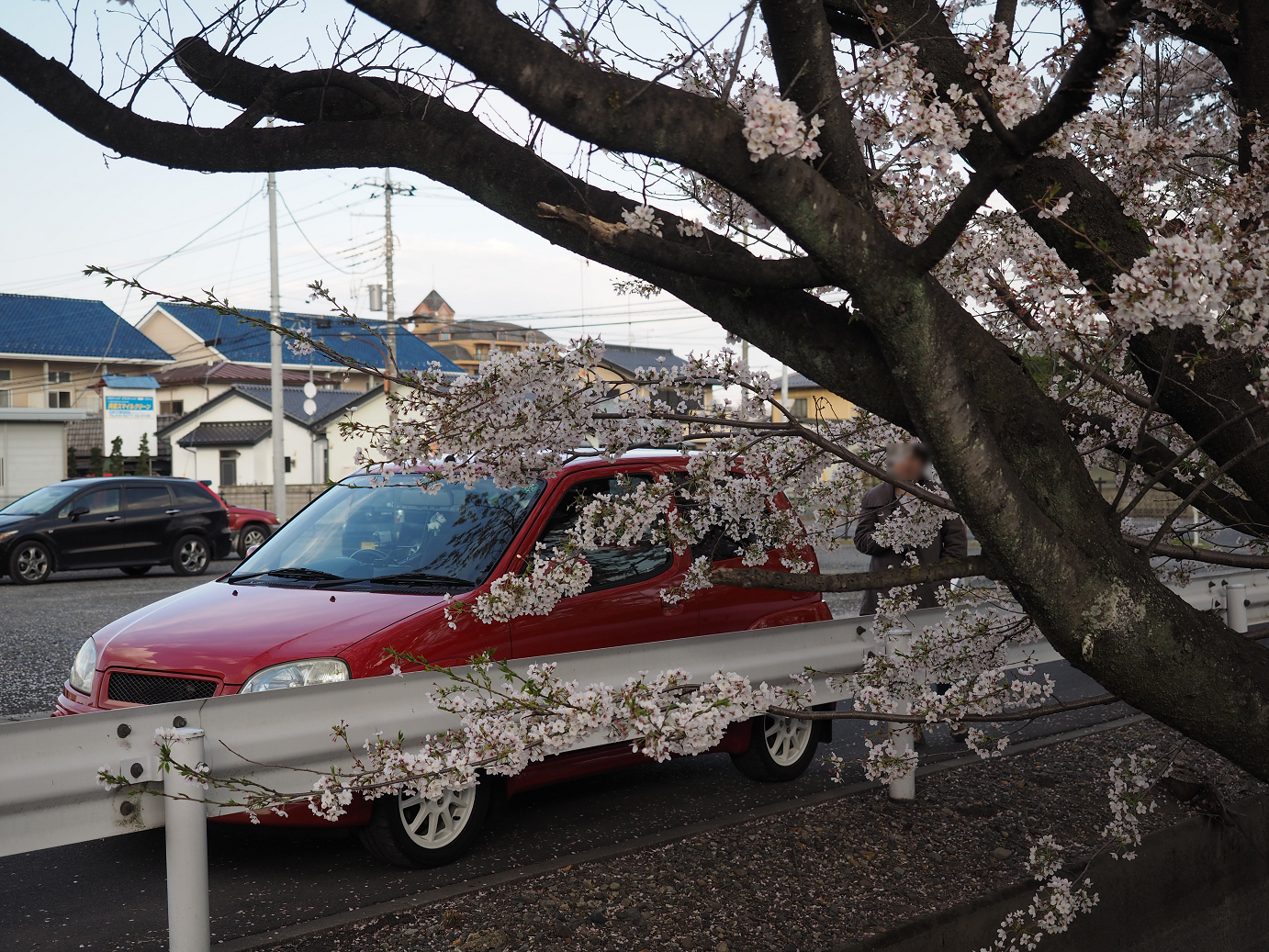 P4050286.jpg