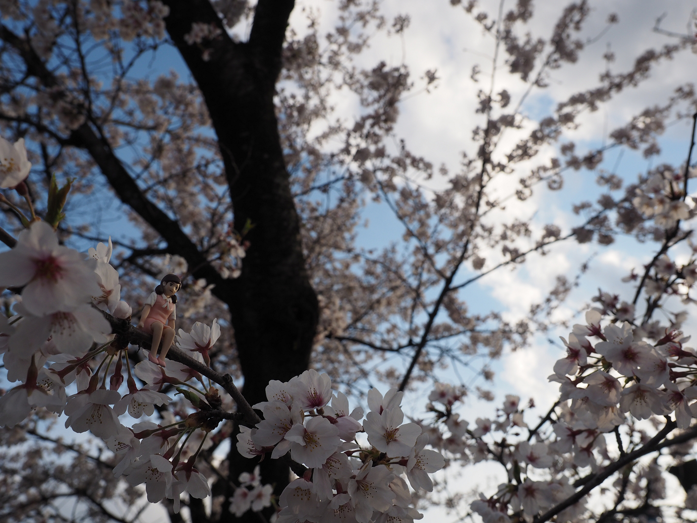 P4050327.jpg