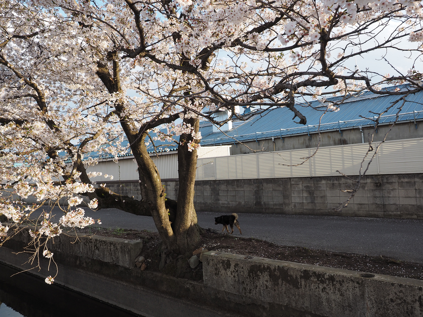 P4050342.jpg