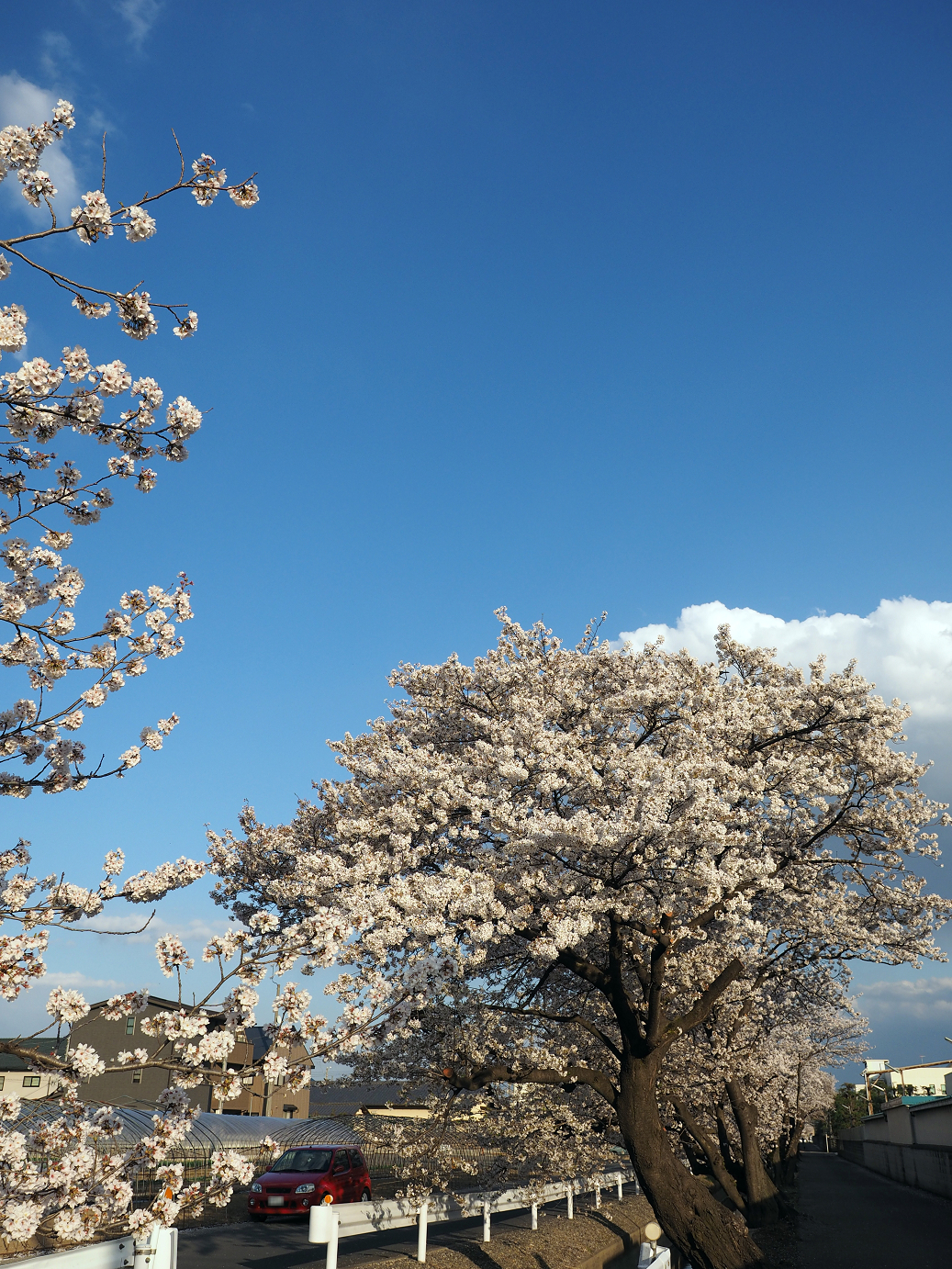 P4050351.jpg