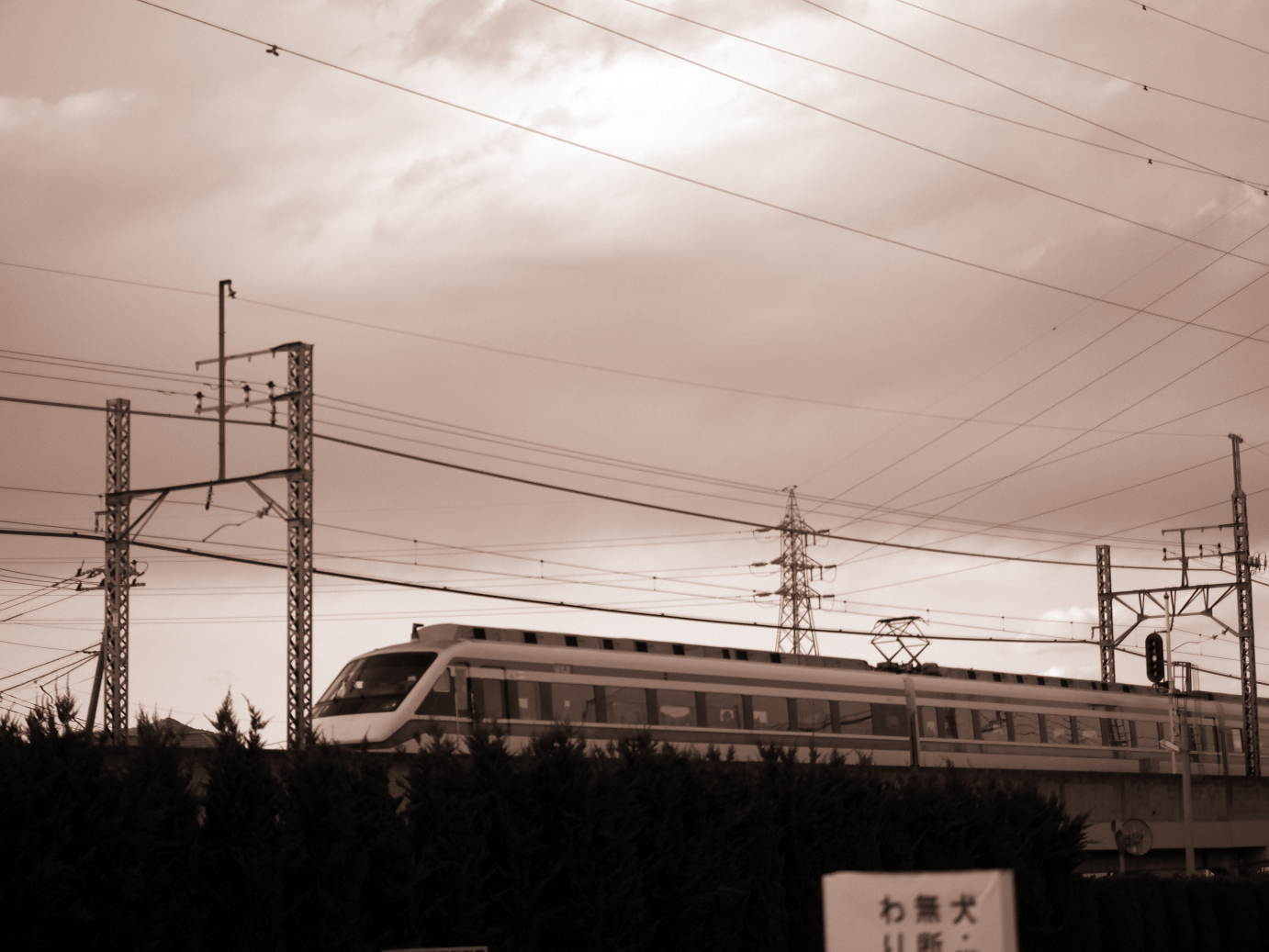 P4050398.jpg