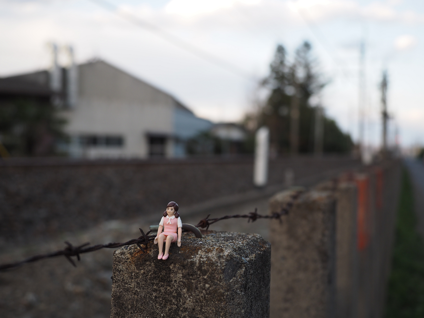 P4050475.jpg